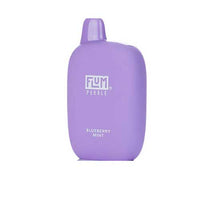 Blueberry Mint Flavored Flum Pebble 6000 Disposable Vape Device giving 6000 Puffs | thesmokeplug.com - 10PK