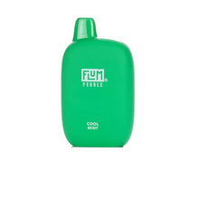 Cool Mint Flavored Flum Pebble 6000 Disposable Vape Device giving 6000 Puffs | thesmokeplug.com - 10PK