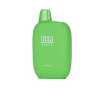 Matcha Flavored Flum Pebble 6000 Disposable Vape Device giving 6000 Puffs | thesmokeplug.com - 10PK
