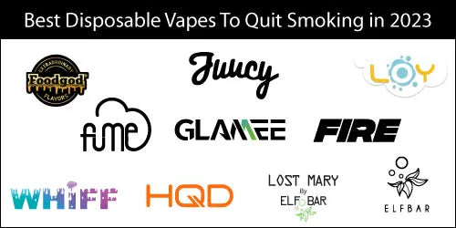 Best Disposable Vapes To Quit Smoking in 2023