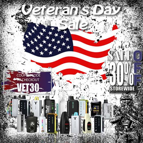 vetrans day sal on disposable vapes