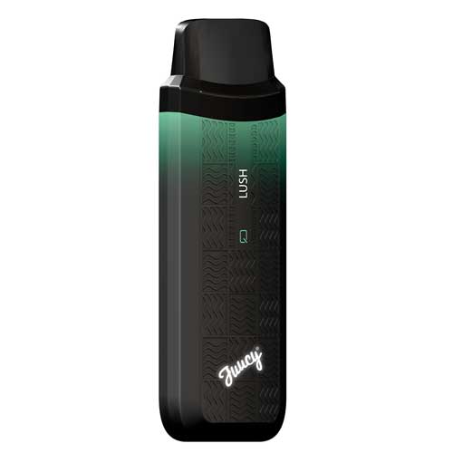 Juucy Model Q Disposable Vape Device - 1PC The Smoke Plug Juucy Model Q Disposable Vape Device - 1PC The Smoke Plug